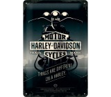 Szyld 30x20 tablica Harley Night