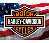 Tabliczka, magnes, Harley USA