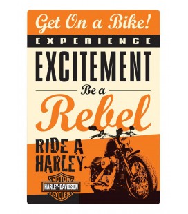 Szyld 3D, Harley Davidson, Get On a Bikie, RW-048