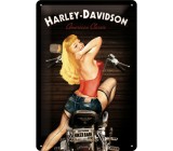 Szyld, tablica, Harley Biker Babe